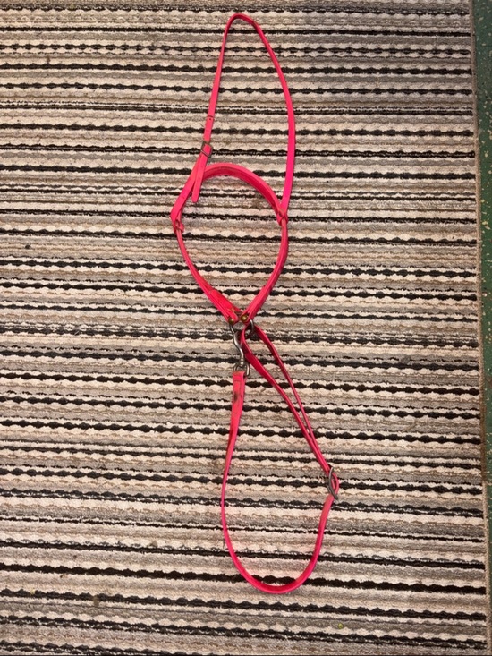 None Other - Hot Pink Tie down (for horses)